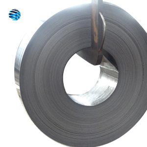 Hot Dipped Galvanized Steel Strip
