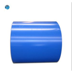 PPGL Steel Coil
