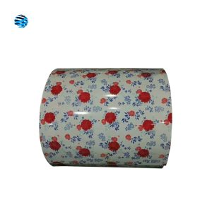 PPGL Steel Coil