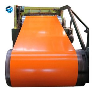 Prepainted Galvanized Steel Coil