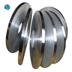 Stainless Steel Strip